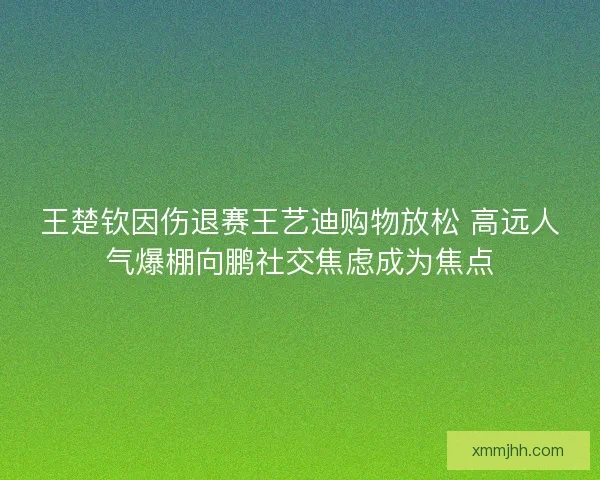 王楚钦因伤退赛王艺迪购物放松 高远人气爆棚向鹏社交焦虑成为焦点