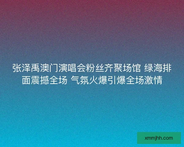 张泽禹澳门演唱会粉丝齐聚场馆 绿海排面震撼全场 气氛火爆引爆全场激情